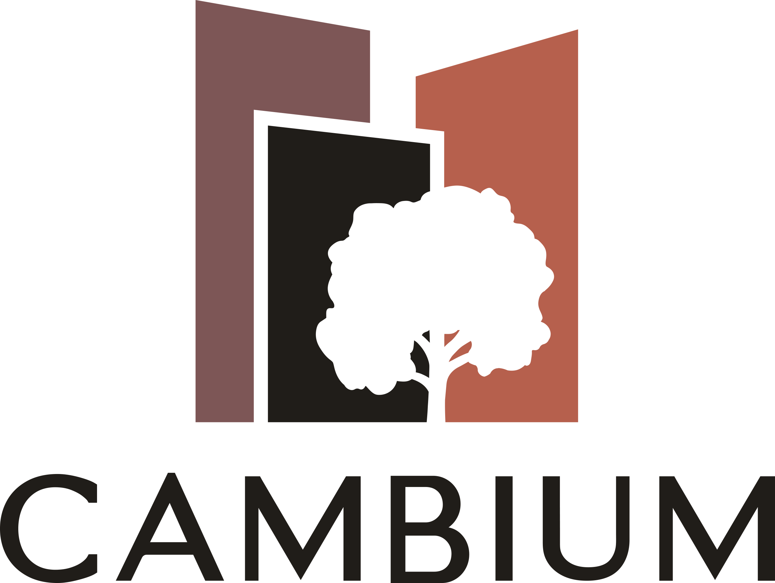 Cambium