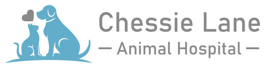 Chessie Lane Animal Hospital