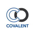 Covalent Networks