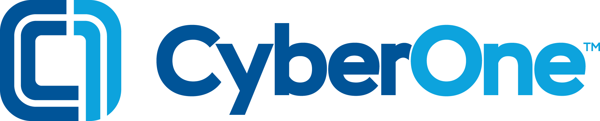 Cyberonesecurity