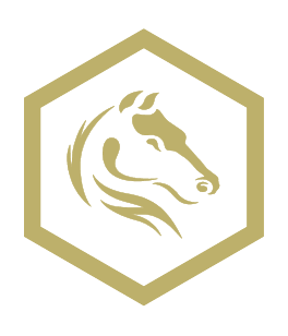 Darkhorse Emergency
