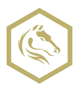 Darkhorse Emergency