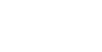 Detroit Labs