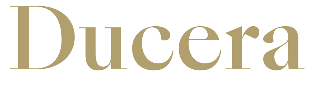 Ducera Partners - Experienced Hires