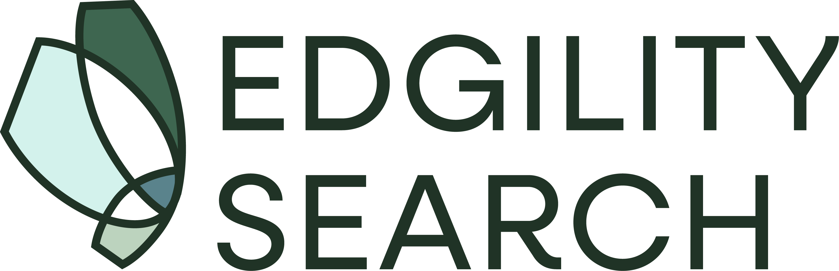 Edgility Search
