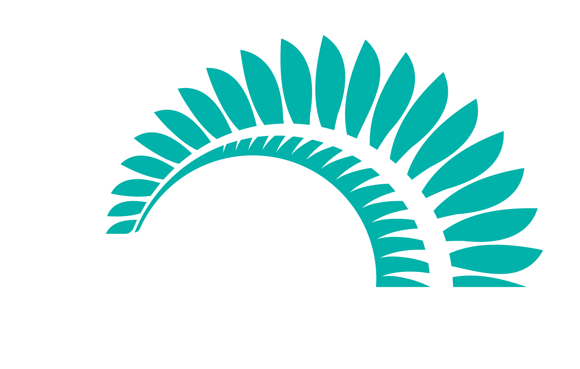 Emirates Team New Zealand