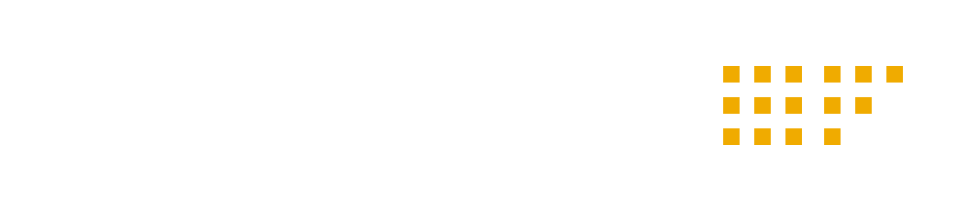SAP Fioneer