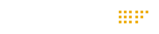 SAP Fioneer