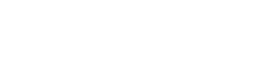 Flyability