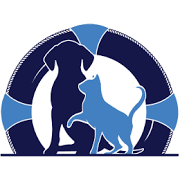 Harbor Animal Hospital