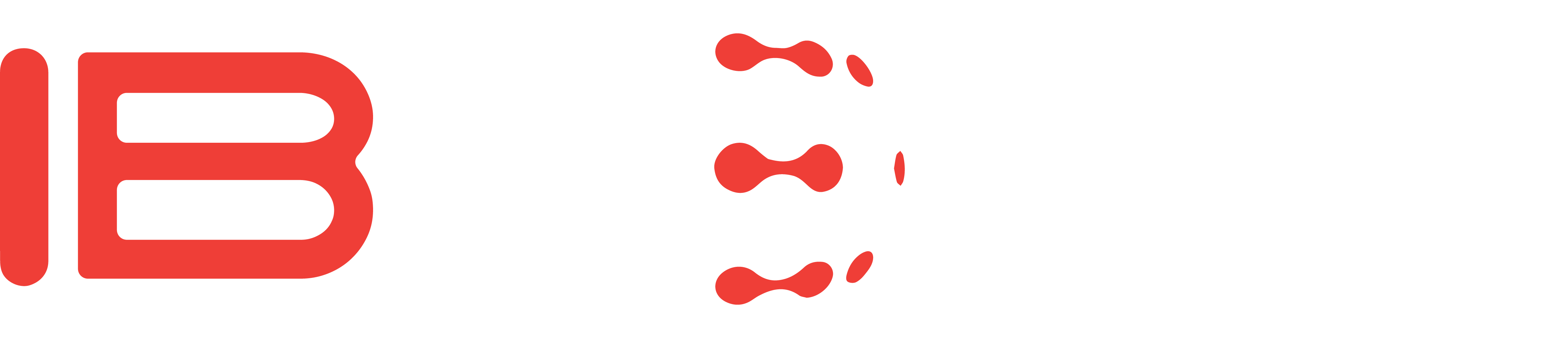 IB3 Global Solutions