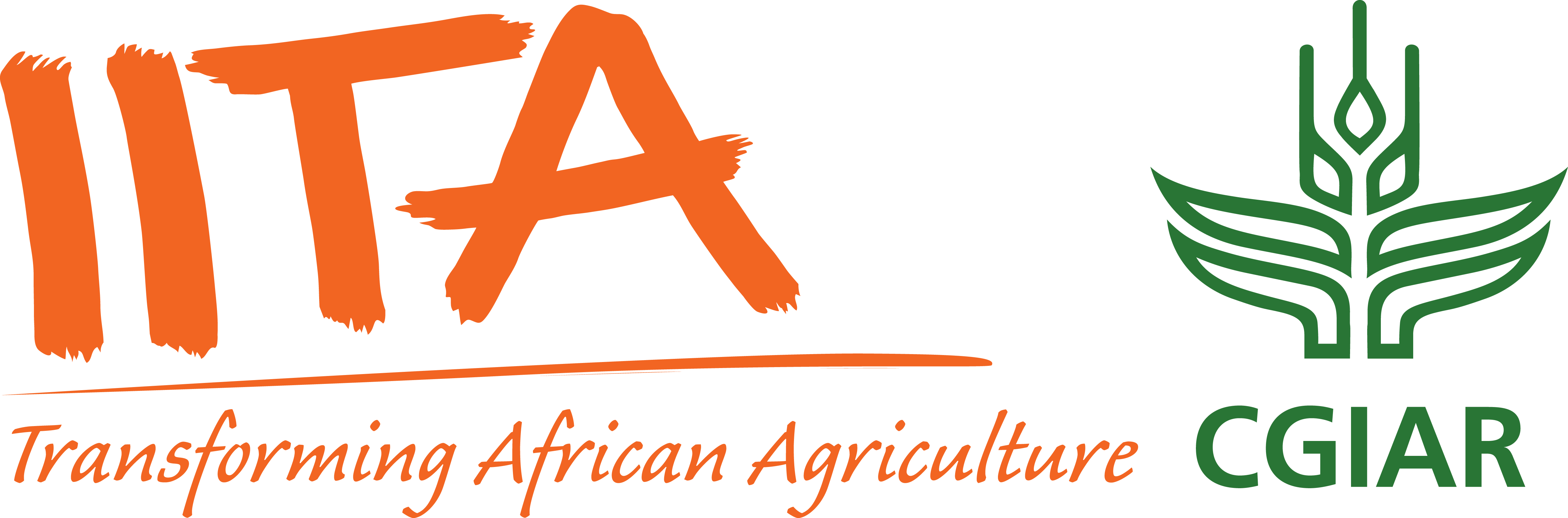 International Institute of Tropical Agriculture(IITA)