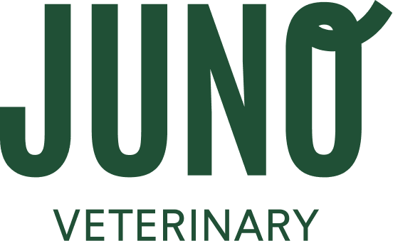 Juno Veterinary