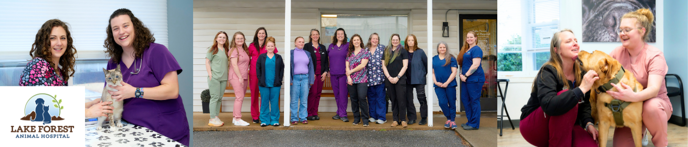 Lake Forest Animal Hospital