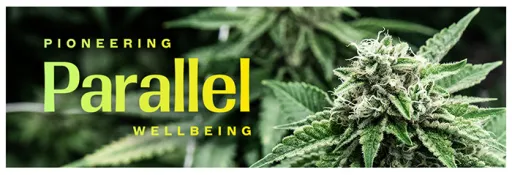 Live Parallel