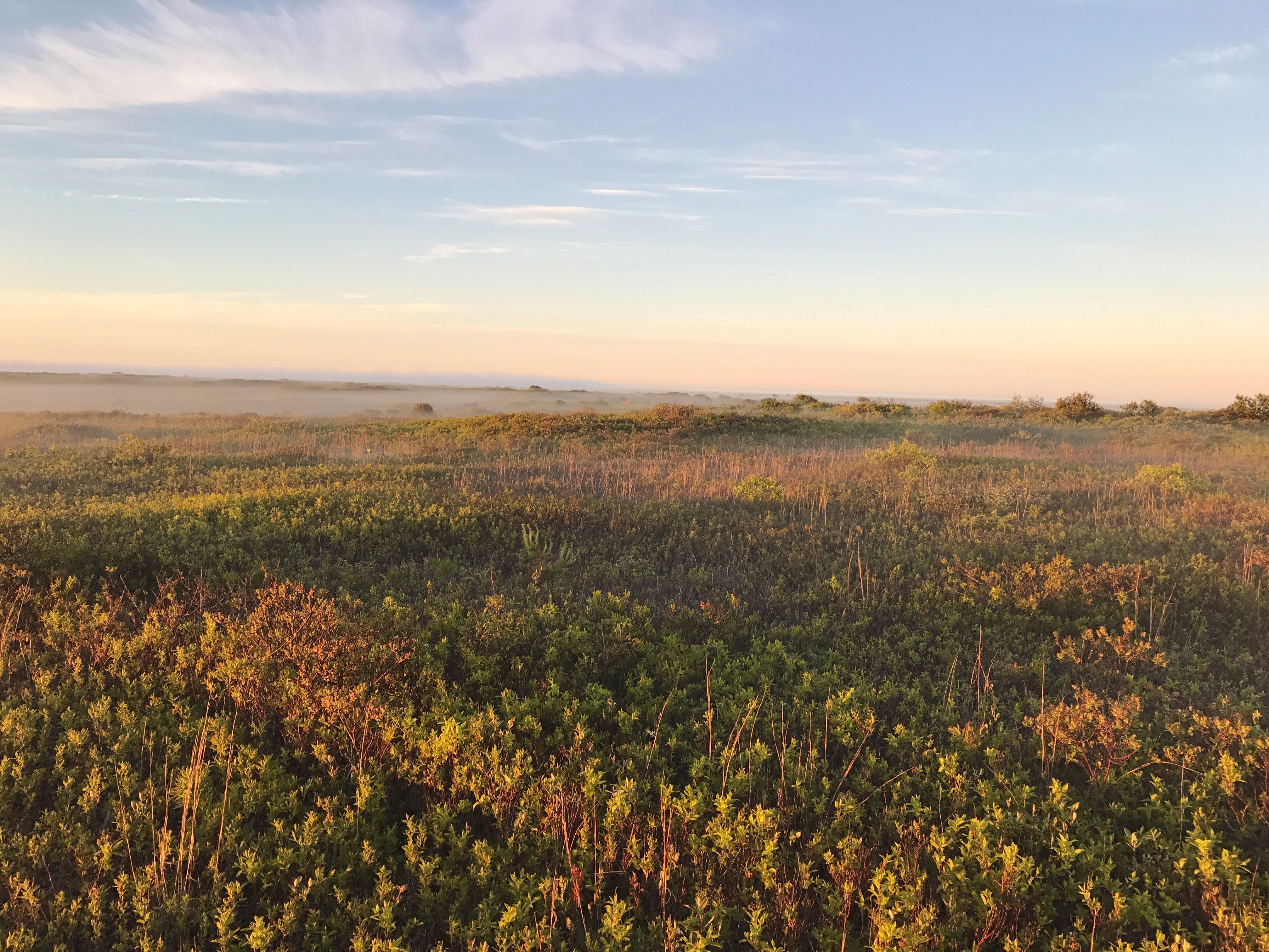 Nantucket Conservation Foundation