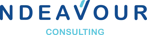 NDEAVOUR CONSULTING