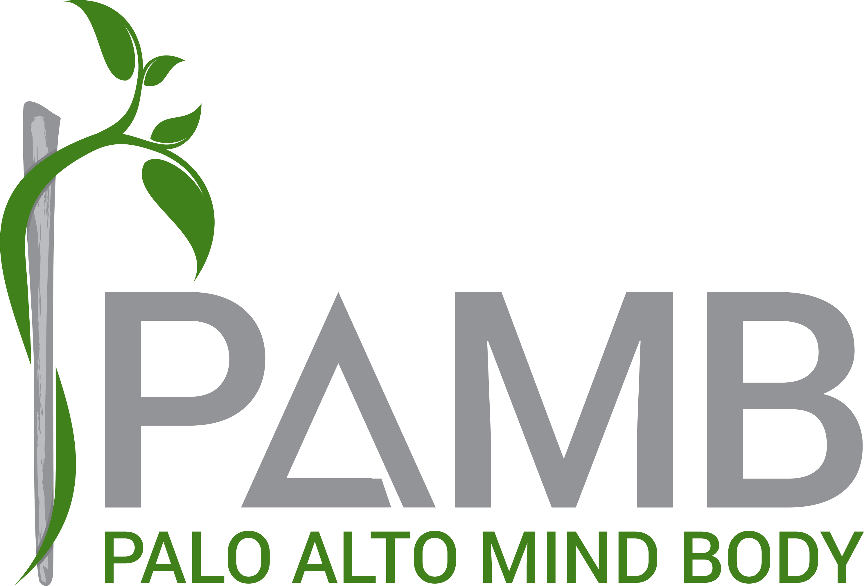 Palo Alto Mind Body