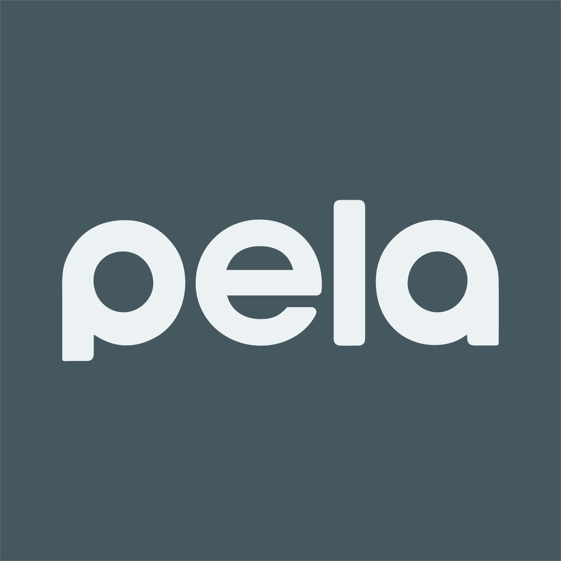 Pela Case Corporation