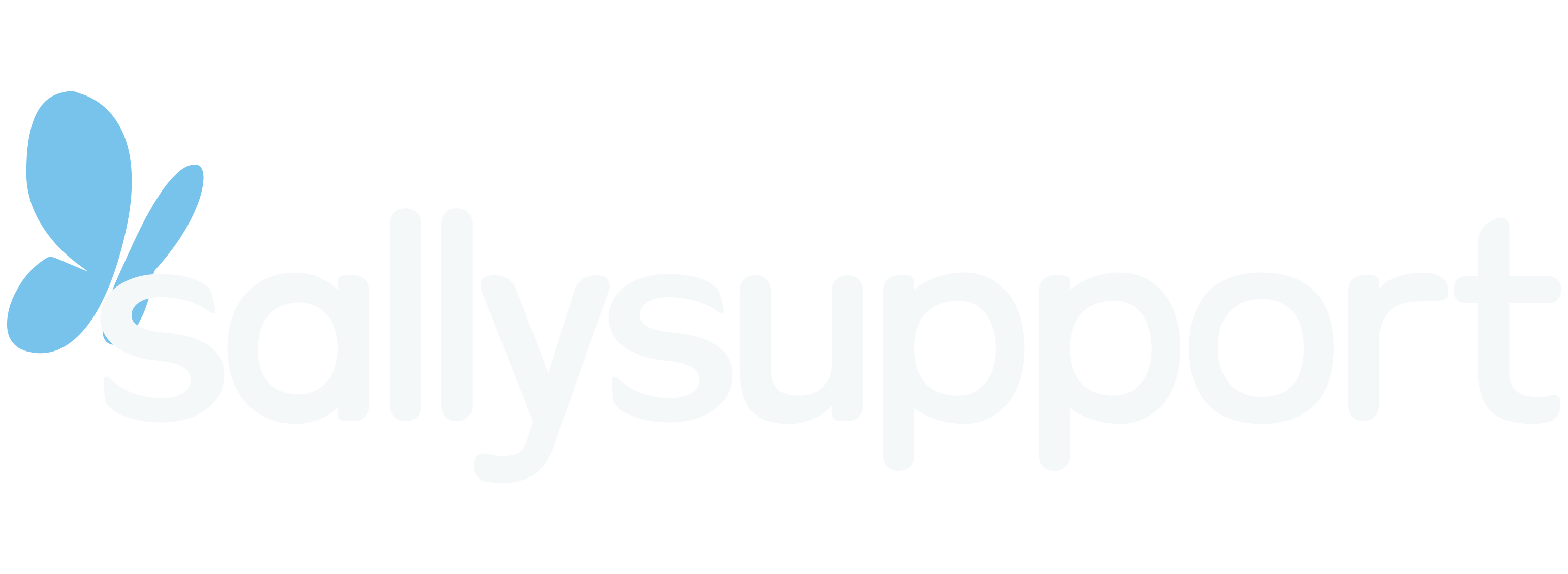 SallySupport