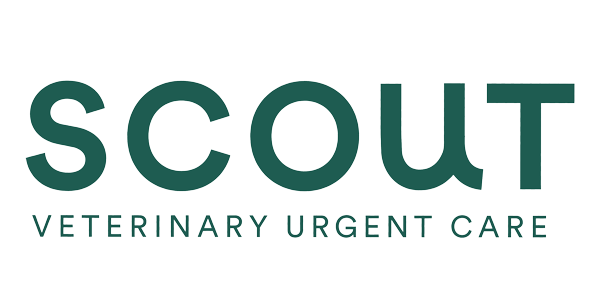 Scout Veterinary Urgent Care