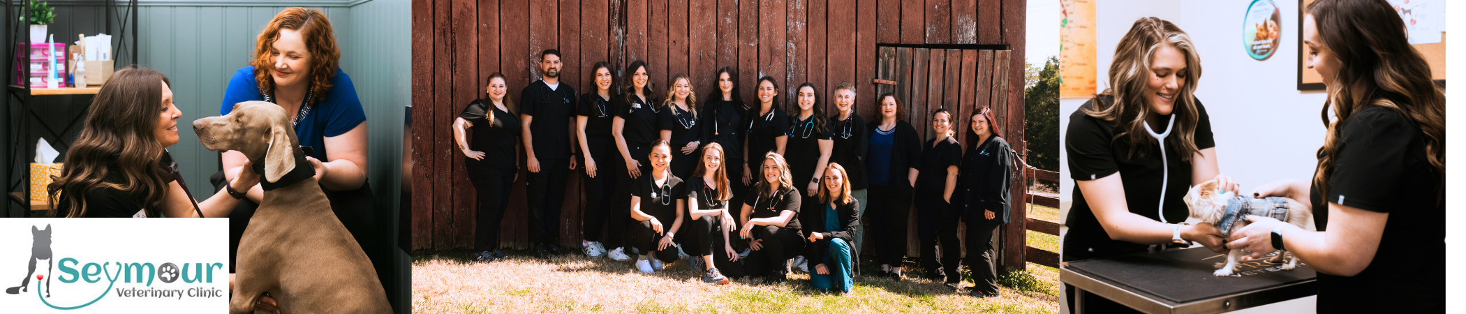 Seymour Veterinary Clinic