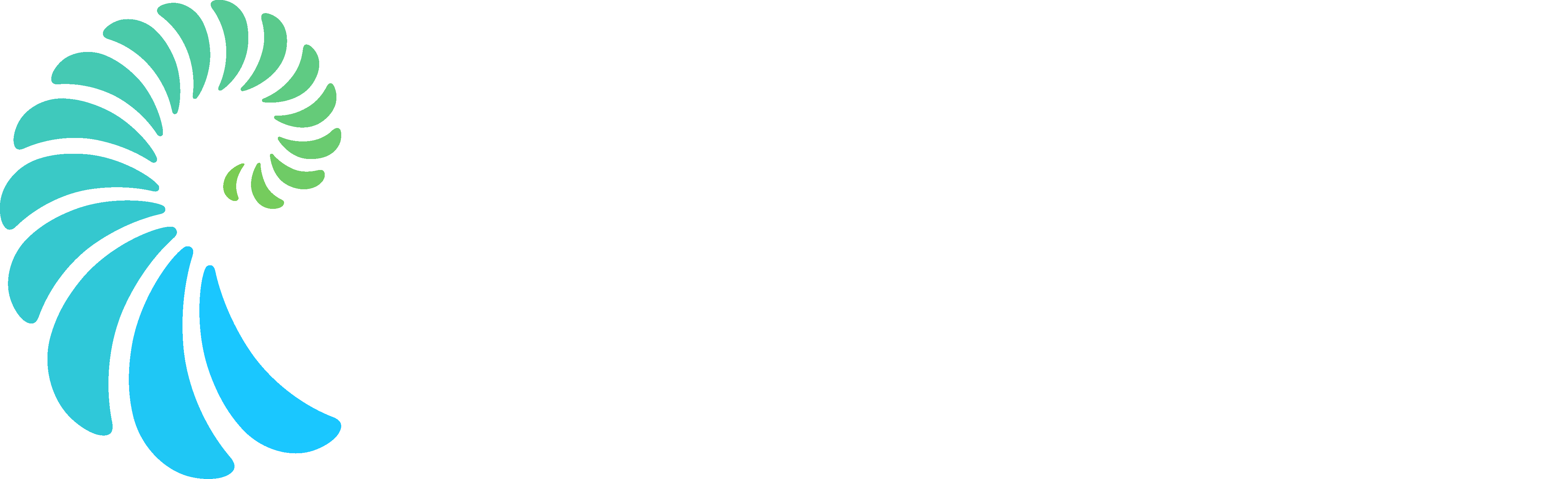 Qwiet AI