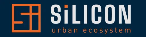 Silicon