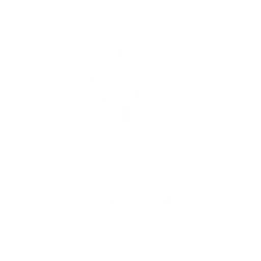 Soulhouse
