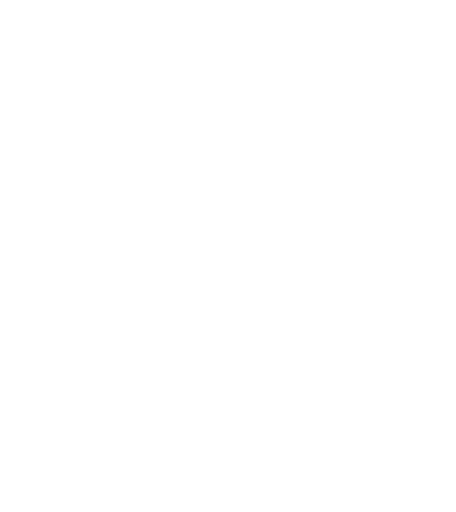 The Care Company Inc.