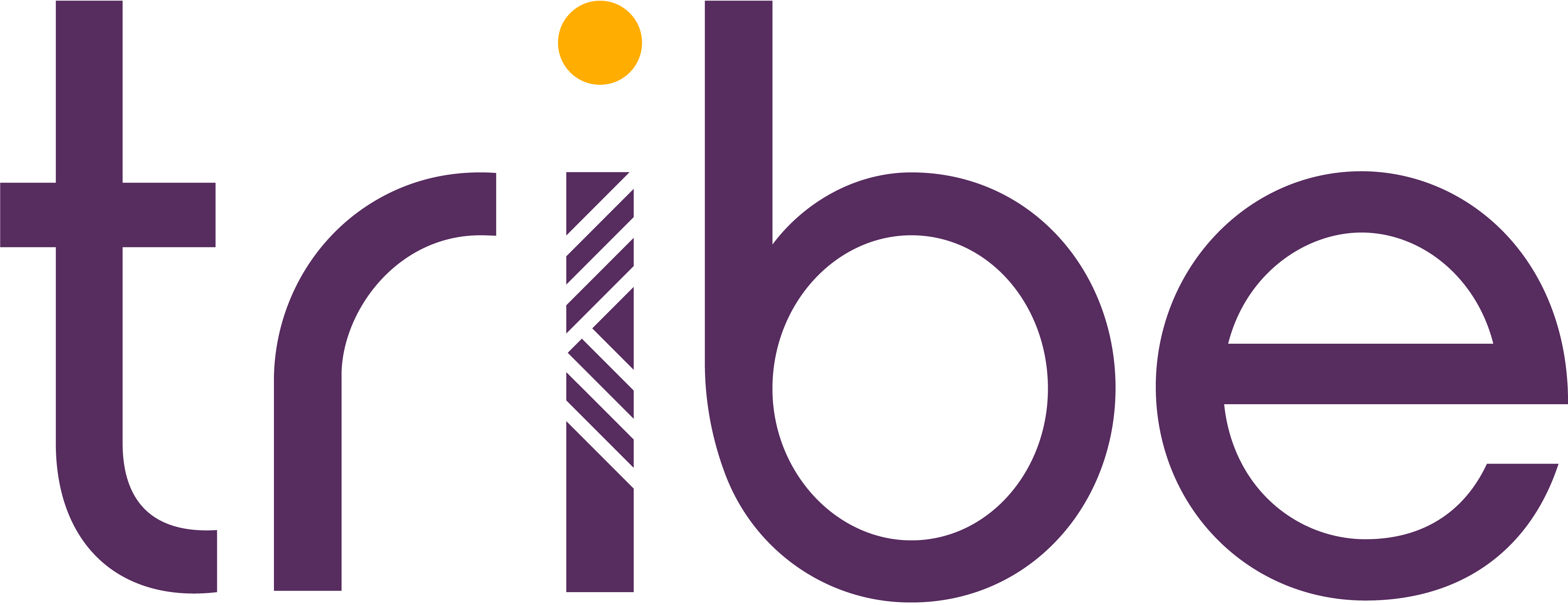 Tribe Payments
