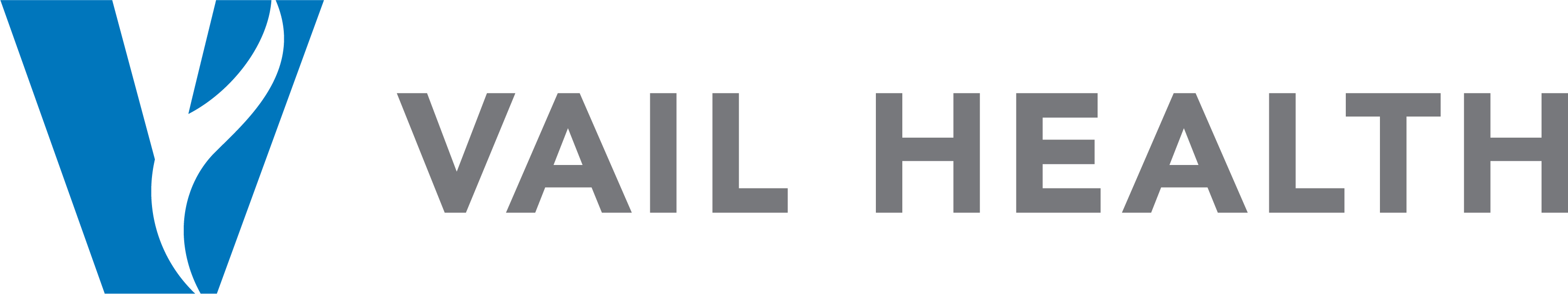 Vail Health Hospital