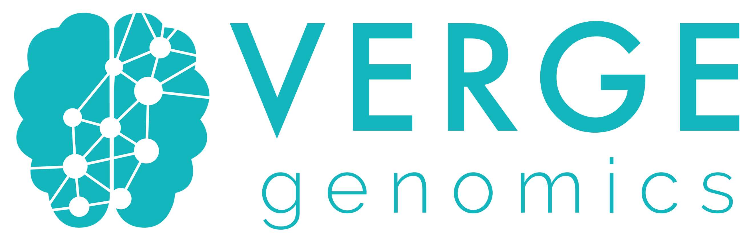 Verge Genomics