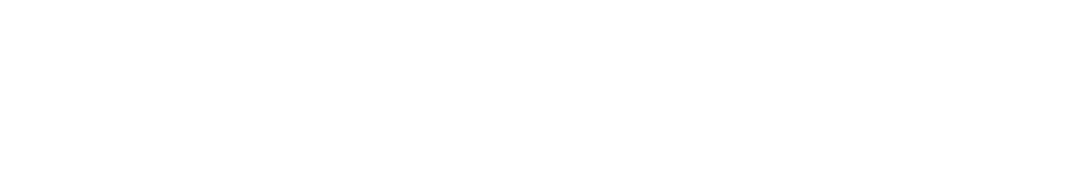 Warden AI