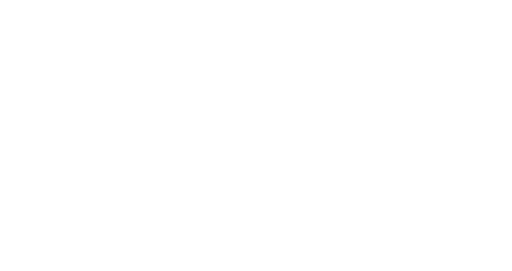 Zoomo